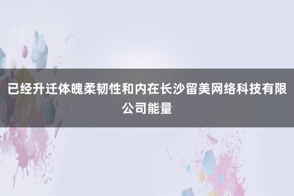 已经升迁体魄柔韧性和内在长沙留美网络科技有限公司能量